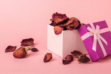Pembe arka planda gül yaprakları olan bir hediye kutusu. Güllerin otlağı.