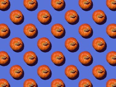 Mavi arka planda parlak olgun balkabağı deseni. Lezzetli ve sağlıklı bir sebze..