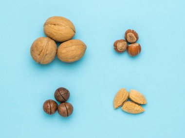 Four types of nuts on a light blue background. Vegetarian food. Flat lay.