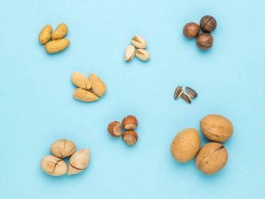 Mavi arka planda gruplar halinde dizilmiş çeşitli fındıklar. Vejetaryen yemeği. Düz yatıyordu.