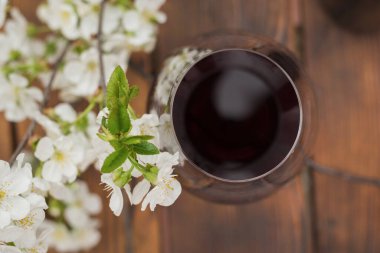 Bir kadeh kırmızı şarap ve büyük bir kiraz ağacı dalının manzarası. Çiçek açan bir ağacın arka planında şarap.