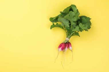 A bunch of radishes tied with a rope on a yellow background. Fresh vegetable.