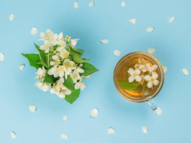 Mavi arka planda bir fincan çay ve bir buket yasemin. Sağlığın için iyi olan canlandırıcı bir içecek..