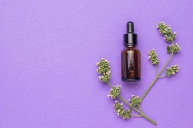 İki filiz şifalı ot ve mor arka planda bir ilaç şişesi. Doğal tedavi ve vücut bakımı kavramı. Düz yatıyordu.