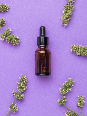 Medicinal herbs and a therapeutic bottle with a pipette on a purple background. The concept of treatment and body care using natural remedies. Flat lay.