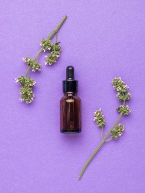 Mor arka planda bir şişe ilaç ve şifalı bitkiler. Doğal tedavi ve vücut bakımı kavramı. Düz yatıyordu.