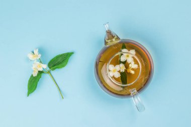 Yasemin çiçeğinin üst görüntüsü ve mavi zemin üzerinde çay olan cam çaydanlık. Sağlığın için iyi olan canlandırıcı bir içecek..