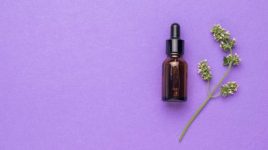 Pipetli bir şişe ve mor bir arka planda şifalı bitki filizi. Metin için yer aç. Doğal tedavi ve vücut bakımı kavramı. Düz yatıyordu.
