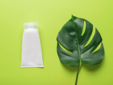 Büyük beyaz bir krem tüpü ve yeşil arka planda bir canavar yaprağı. Doğal malzemelerden yapılan tıbbi hazırlıklarla tedavi kavramı. Düz yatıyordu.
