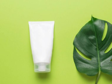 Büyük bir yaprak canavar ve yeşil arka planda krema için beyaz bir tüp. Doğal malzemelerden yapılan tıbbi hazırlıklarla tedavi kavramı. Düz yatıyordu.