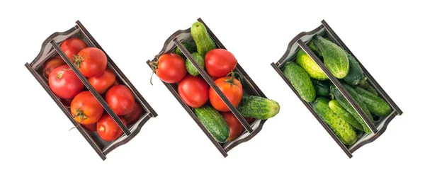 Widok Góry Trzech Pudełek Ogórków Pomidorów Izolowanych Białym Tle Świeża — Zdjęcie stockowe