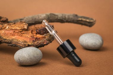 Eski bir ağacın dalında solüsyonla dolu bir pipet. Doğal minerallere dayalı kozmetik ve tıbbi ürünler. Doğal ilaçlar kullanan tedavi ve vücut bakımı kavramı..