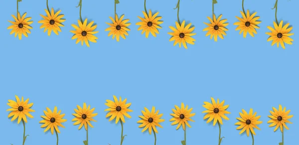 青い背景に2列の明るい夏の花で構成されるバナー 夏の絵葉書 — ストック写真