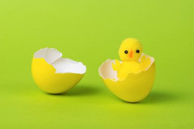 Yeşil arka planda sarı yumurtadan çıkan küçük bir tavuk. Yeni bir hayat konsepti.
