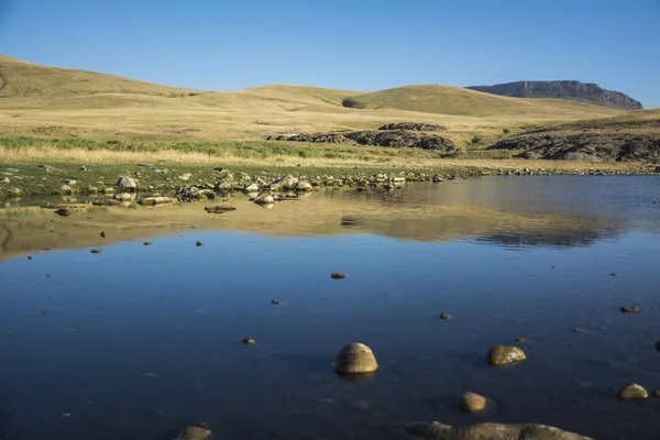 Atları temiz ve sakin bir nehir kıyısında