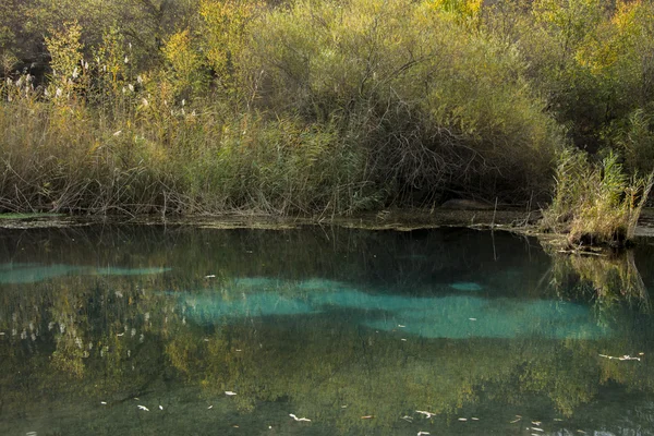 Güney Kazakistan'ın küçük bir göl