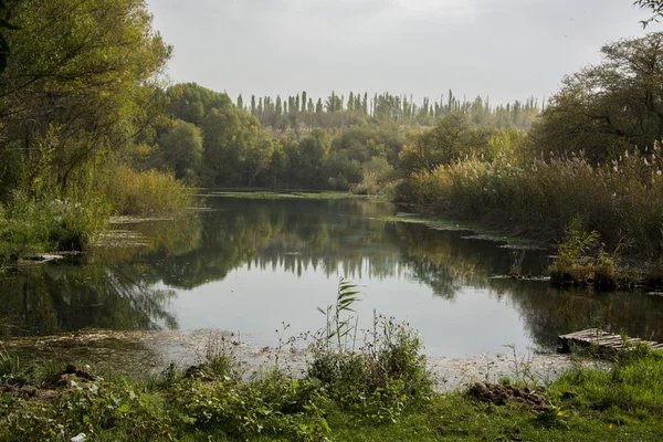 Güney Kazakistan'ın küçük bir göl