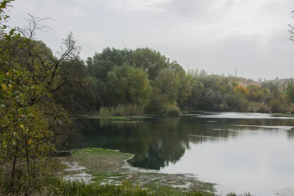 Güney Kazakistan'ın küçük bir göl