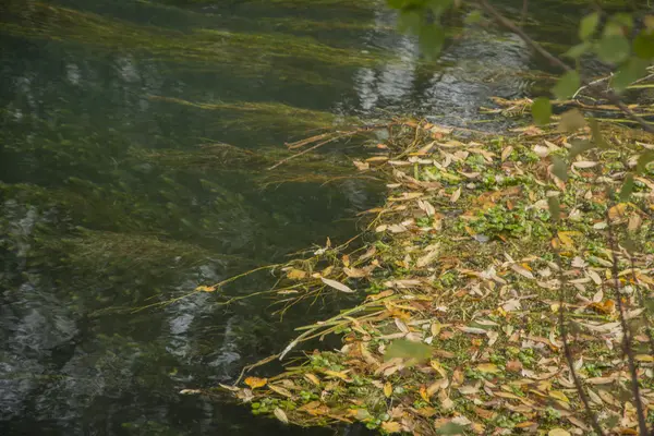 Güney Kazakistan'ın küçük bir göl