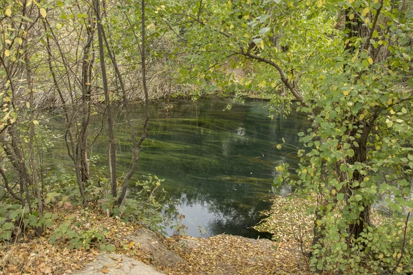 Güney Kazakistan'ın küçük bir göl