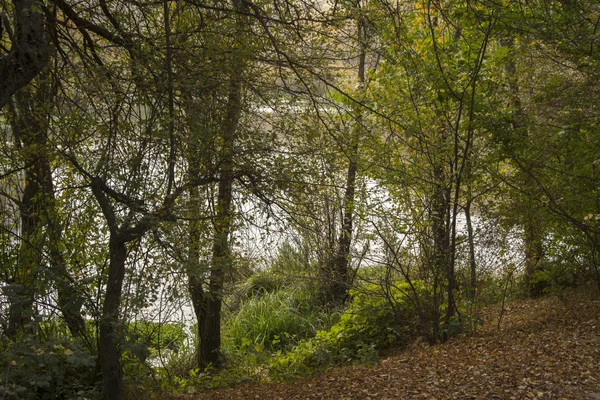Güney Kazakistan'ın küçük bir göl