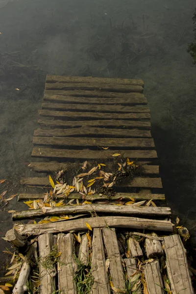 Güney Kazakistan'ın küçük bir göl