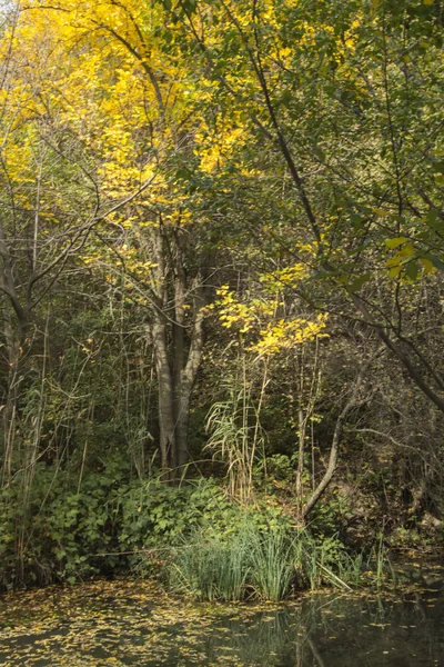 sessiz bir göl üzerinde bulutlu gün