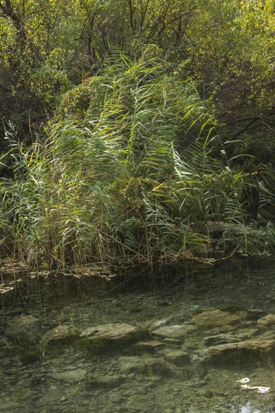 sessiz bir göl üzerinde bulutlu gün