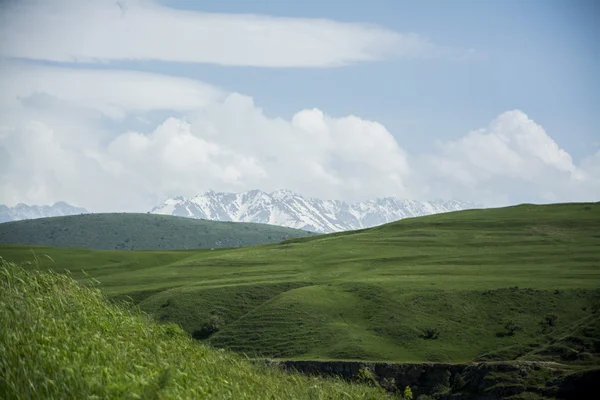 Φαράγγι κοιλάδα στα βουνά της Tien Shan — Φωτογραφία Αρχείου