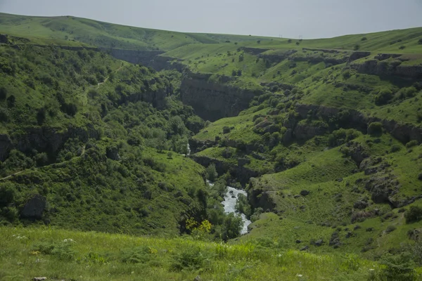 Kanyon Vadisi Tien Shan dağlarında