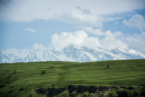 Kanyon Vadisi Tien Shan dağlarında