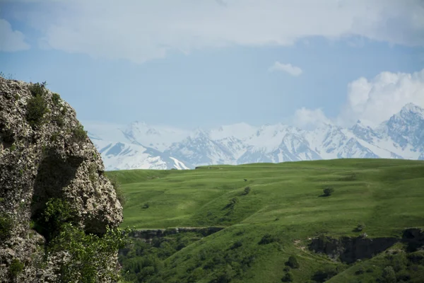 Kanyon Vadisi Tien Shan dağlarında
