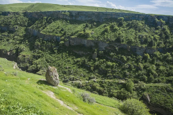 Kanyon Vadisi Tien Shan dağlarında