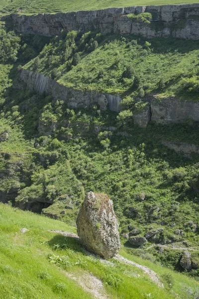 Kanyon Vadisi Tien Shan dağlarında