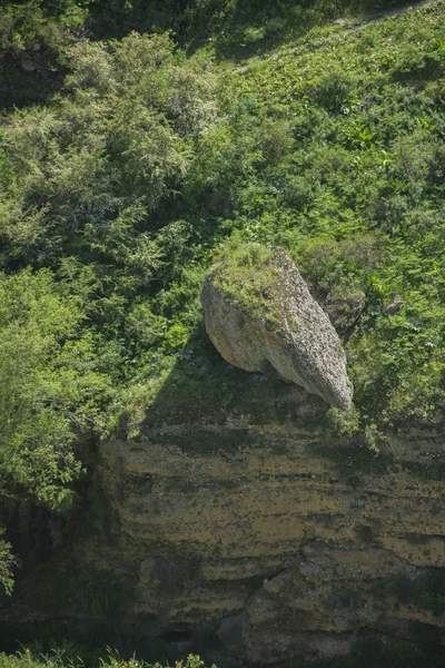 Kanyon Vadisi Tien Shan dağlarında
