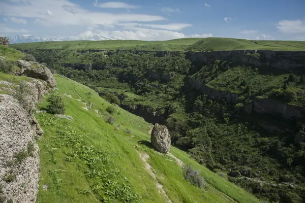 Kanyon Vadisi Tien Shan dağlarında