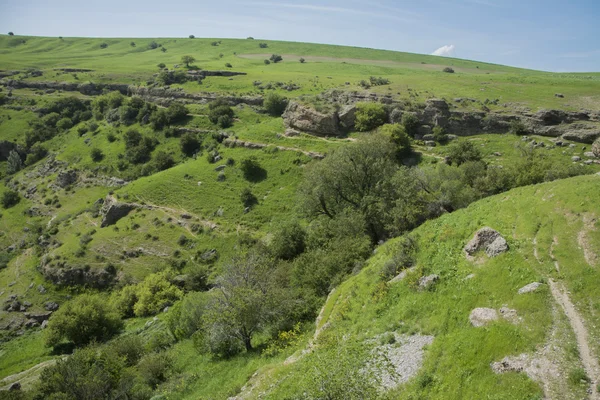Kanyon Vadisi Tien Shan dağlarında