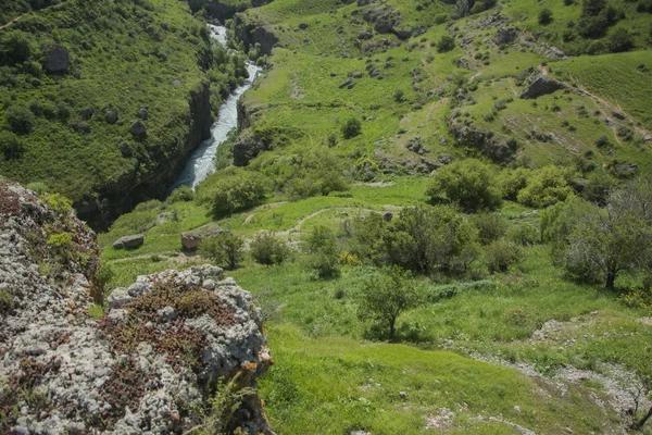 Kanyon Vadisi Tien Shan dağlarında