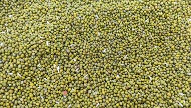 Yeşil fasulyeler kemik ve dişleri güçlendirmek için kalsiyum ve fosfor açısından zengindir. Ayrıca osteoporozu da önleyip tedavi eder..