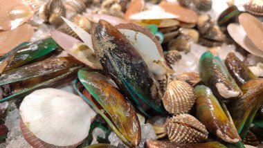 Bir demet taze yeşil midye (Perna viridis) ve kan midyesi (Anadara granosa) buza konmuş, satılmaya veya pişirilmeye hazır