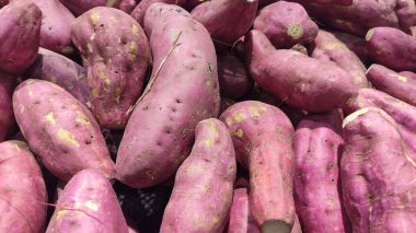 Cilembu tatlı patates, Cilembu tatlı patates, Ipomoea Batatas. Tatlı patatesler 1990 'lardan beri Endonezya' da popülerdir..