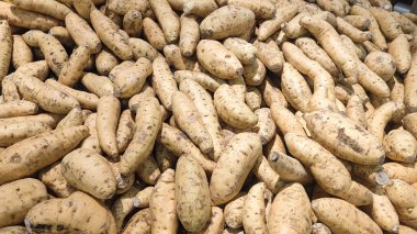 Cilembu tatlı patates, Cilembu tatlı patates, Ipomoea Batatas. Tatlı patatesler 1990 'lardan beri Endonezya' da popülerdir..