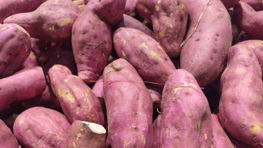 Cilembu tatlı patates, Cilembu tatlı patates, Ipomoea Batatas. Tatlı patatesler 1990 'lardan beri Endonezya' da popülerdir..