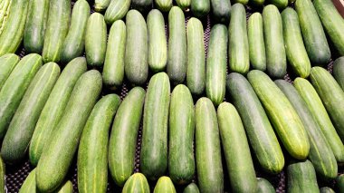 Taze salatalıklar düzgünce düzenlenmiş, sebze arka planında. Sıraya dizilmiş yeşil salatalıklar, taze üretim ve tarım konsepti. Piyasa düzenlemesinde çiğ salatalıklar sergileniyor, sağlıklı besin kaynakları var..