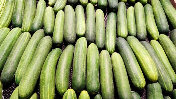 Taze salatalıklar düzgünce düzenlenmiş, sebze arka planında. Sıraya dizilmiş yeşil salatalıklar, taze üretim ve tarım konsepti. Piyasa düzenlemesinde çiğ salatalıklar sergileniyor, sağlıklı besin kaynakları var..