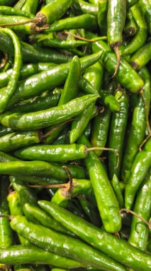 Taze yeşil biberler parlak arka plan, doğal desen ve parlak doku ile düzenlenir, mutfak, baharatlı gıda, tarım ve sağlıklı yaşam konsepti için idealdir..