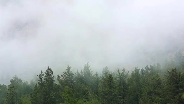 Nebel zieht von den Bergen herab. — Stockvideo