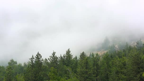 Lasso di tempo della nebbia . — Video Stock