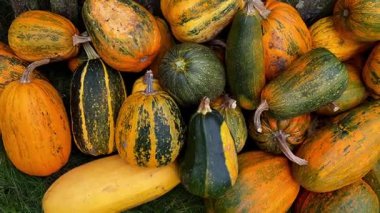 Çiftçi pazarındaki balkabaklarının arka planı