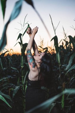 Güneş batarken mısır tarlasında dans eden esmer kız.